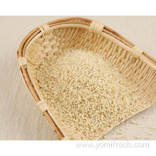 Whole Grains Without Gluten